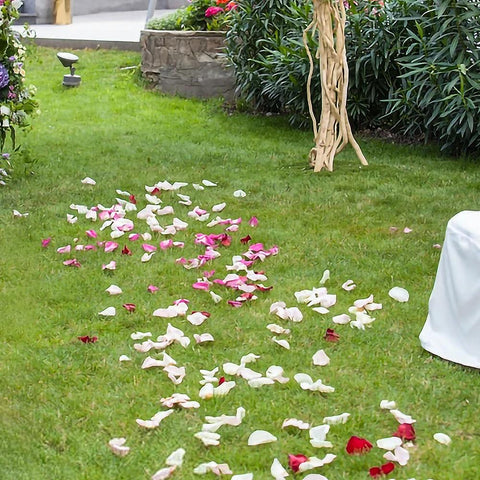 Simulation Rose Petals Artificial Flower Wedding-HA00771-Veeddydropshipping