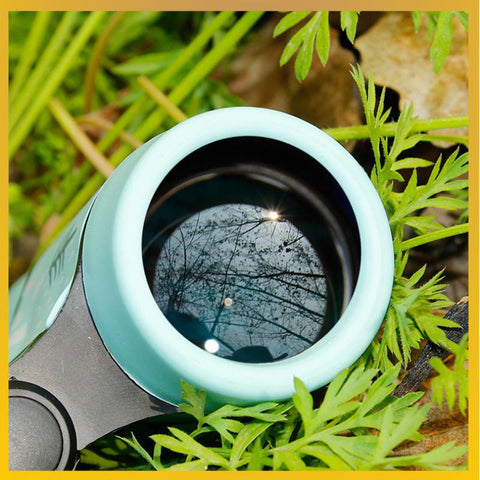 Children Educational Learning Telescope Bird-OS01385-Veeddydropshipping