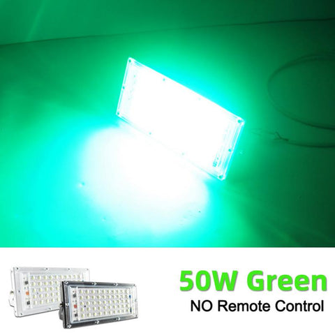 OK-B 2pcs Remote LED FloodLight 50W RGB 100W 220V RReflector-TI00855-Veeddydropshipping