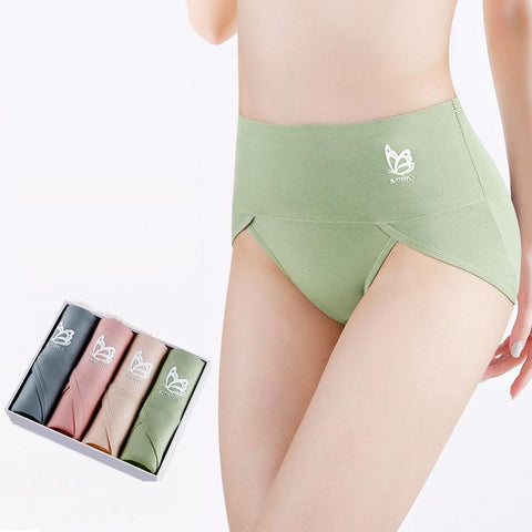 Panties for Women Underpants High Waist-Veeddydropshipping
