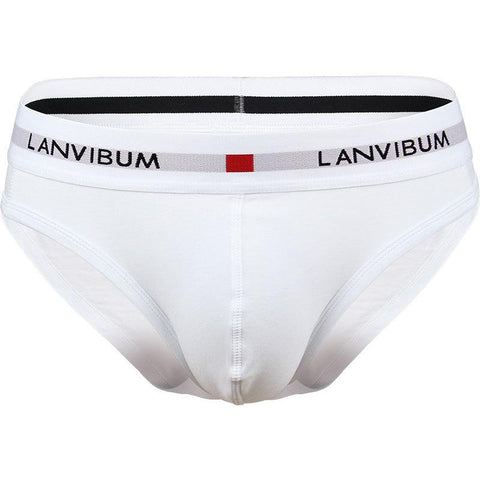 Classic Underwear Solid Briefs Calzoncillos Hombre-MF01506-Veeddydropshipping