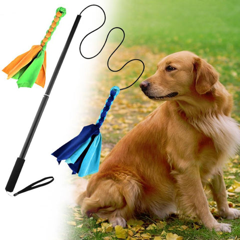 Dog Teaser Rod Bite-resistant Retractable-HA01503-Veeddydropshipping