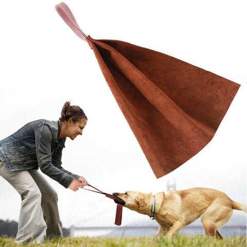 Drink Thick Leather Dog Tug Toy-HA01490-Veeddydropshipping