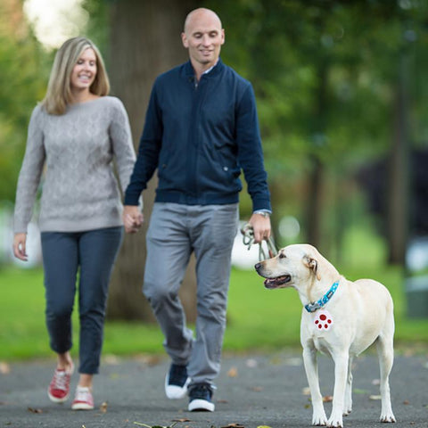 Pets Anti-Lost GPS Tracking Tag Locator Device Waterproof Portable-AM00614-Veeddydropshipping