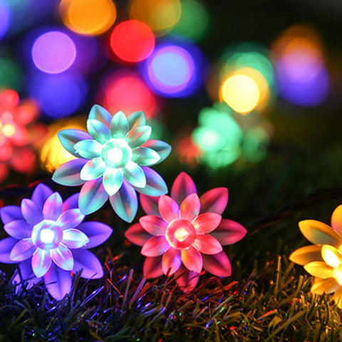Solar String Christmas Lights Outdoor 100LED Waterproof Flower Garden-TI00811-Veeddydropshipping