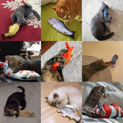 Floppy Wagging Fish Cat Toy USB Electric Charging-HA01451-Veeddydropshipping