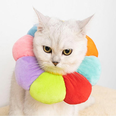 Rainbow Sunflower Elizabethan Cat Collar Harness-HA01997-Veeddydropshipping