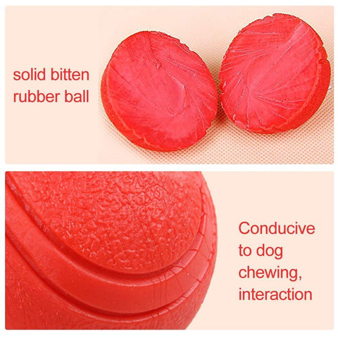 Dog Toy Rubber Ball Bite-resistant Ball-HA01501-Veeddydropshipping