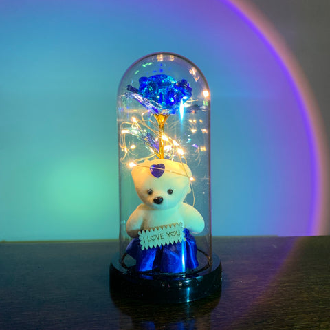 Flower Beauty and the Beast Led Eternal Rose in Glass-HA00666-Veeddydropshipping