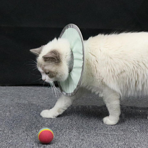 Pet Cat Collar Waterproof Anti-licking Nylon Skin-friendly-HA01393-Veeddydropshipping