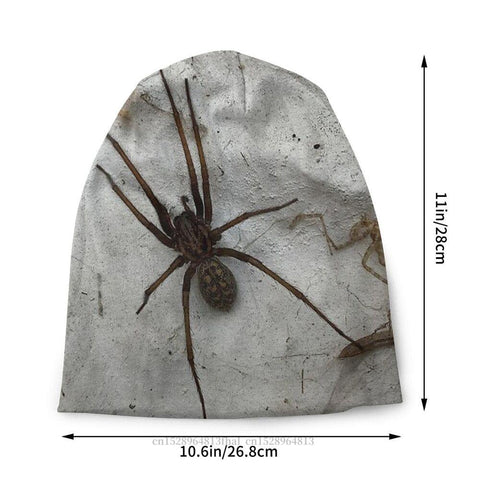 Outdoor Hats Spider On The Wall Knitting Hat Bonnet-MF00922-Veeddydropshipping