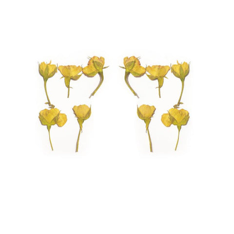 rose dried flowers all kinds of DIY dry flower-HA00672-Veeddydropshipping