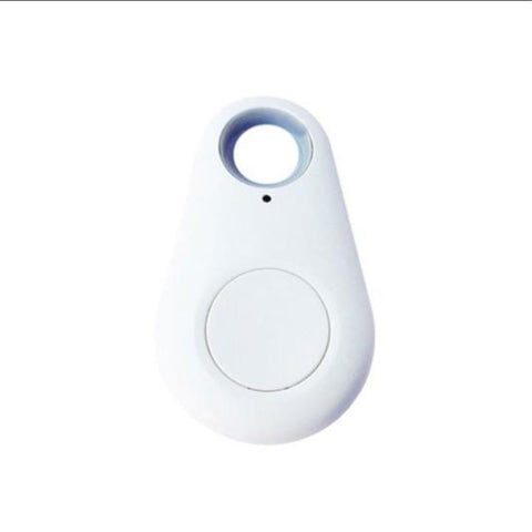 Mini Pet Smart Tracker Bluetooth 4.0 GPS Alarm Locator Keychain for Pet-AM00618-Veeddydropshipping