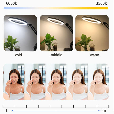 26CM Selfie LED Ring Light With Adjustable Desk Phone Shooting Bracket Stand Photography-PA00810-Veeddydropshipping