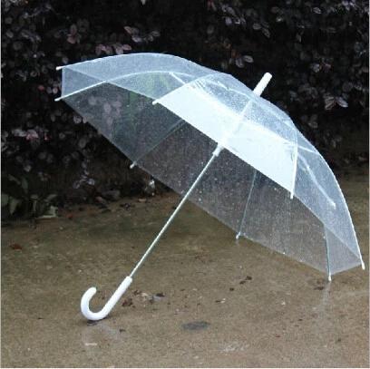Transparent fashion Photography Wedding Long Umbrella-HA01163-Veeddydropshipping
