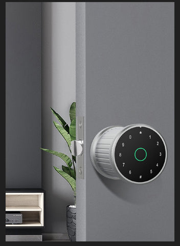 Fingerprint and Touchscreen Digital Door Lock-CO00599-Veeddydropshipping