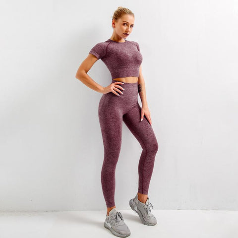 2/3/5Pcs Seamless Yoga Suit Women&#39;s Fitness High Waist Tight Sportswear Gym -OS00762-Veeddydropshipping