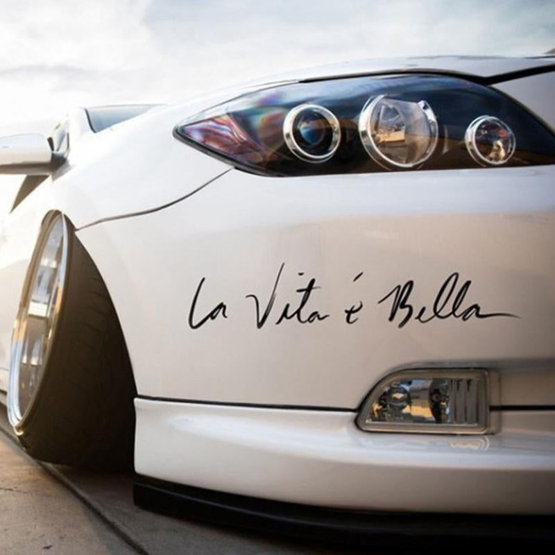 Vita e bella light eyebrow car bumper scratch-AM00944-Veeddydropshipping
