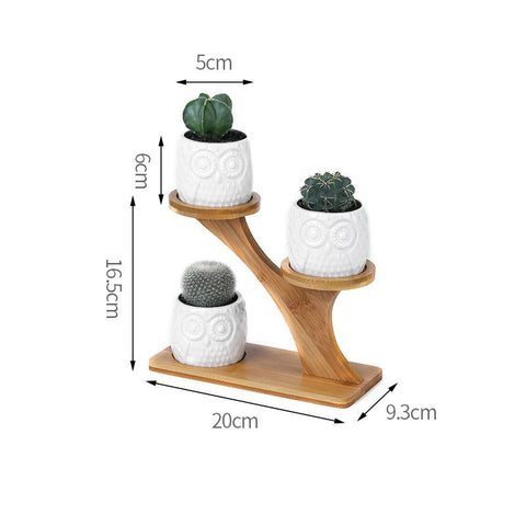 Plant Shelves Flower Display Stand-HA01721-Veeddydropshipping