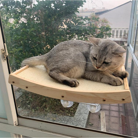Wood Cat Scratching Board Hammock Suction Cup-HA01437-Veeddydropshipping