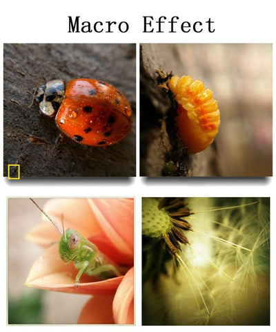 Phone Camera Lens 180 Fish eye Wide Macro  With Case-PA01241-Veeddydropshipping