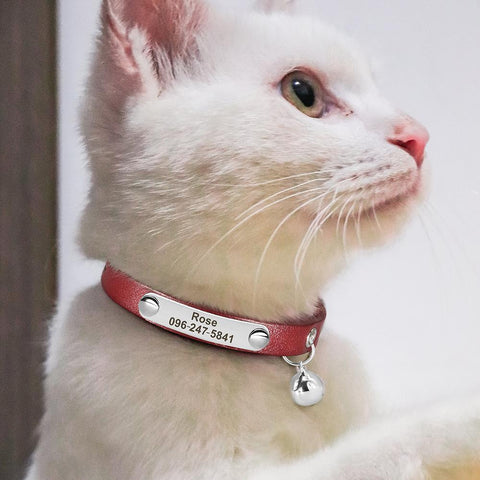 Leather Cat Dog Collar Bling Personalized Name ID-HA01379-Veeddydropshipping