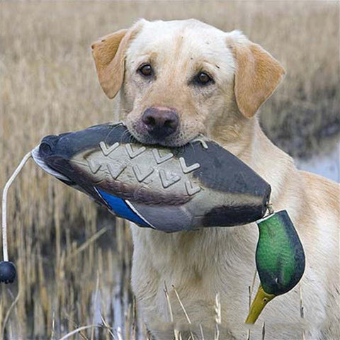 Dog Mimics Dead Duck Bumper Toy-HA01519-Veeddydropshipping