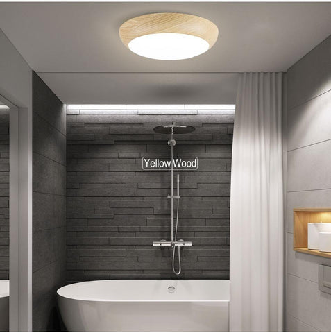 Modern Led Waterproof Ceiling Lamp Dimmable -TI00295-Veeddydropshipping