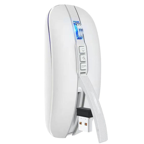Bluetooth Dual Compatible Wireless Mouse-Veeddydropshipping
