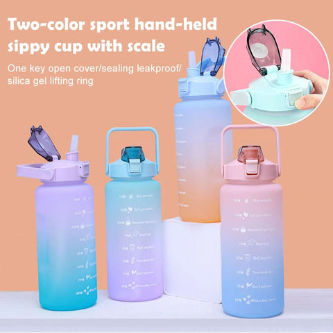 Water Bottle With Straw Time Marker Plastic Water Cup-HA01253-Veeddydropshipping