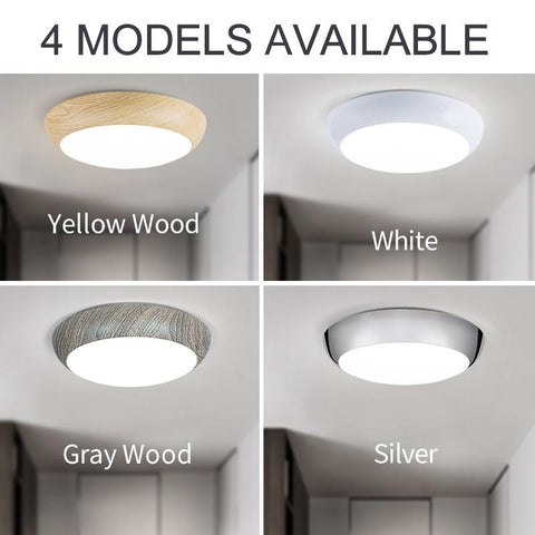 Modern Led Waterproof Ceiling Lamp Dimmable -TI00295-Veeddydropshipping