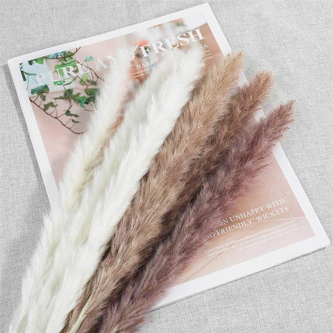 Dried Pampas Grass Decor Beautiful Reed Wedding Flower-HA00661-Veeddydropshipping