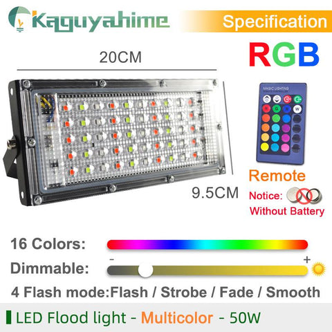 OK-B 2pcs Remote LED FloodLight 50W RGB 100W 220V RReflector-TI00855-Veeddydropshipping