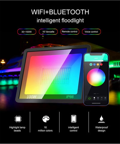 Smart RGB Floodlight For Garden 100W Spotlight Outdoor Lawn Lighting-TI00886-Veeddydropshipping