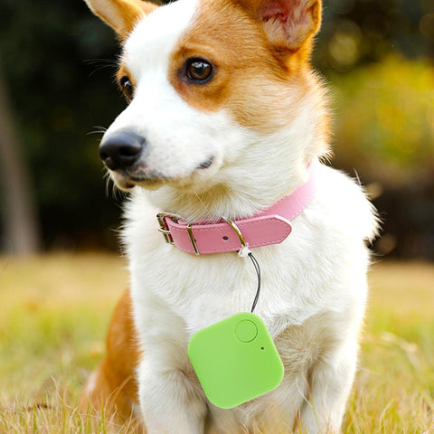Mini GPS Tracker Mobile Bluetooth Wireless Locator Pet Key Tracking-AM00613-Veeddydropshipping