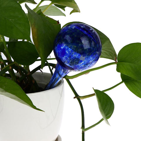 automatic watering glass ball Plant Watering-HA01541-Veeddydropshipping