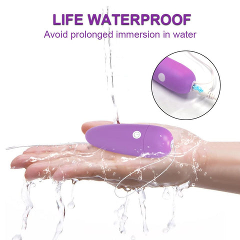 Bluetooth App Mini Bullet Vibrator for Women Clit Stimulator Wireless Remote Pantie -BH01287-Veeddydropshipping