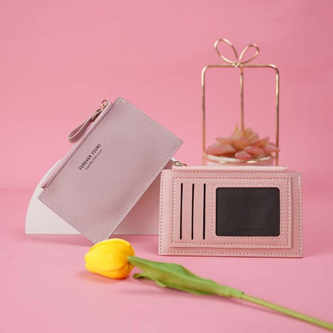 bank credit card holder, multi-slot ultra-thin coin purse, card holder-BS00637-Veeddydropshipping