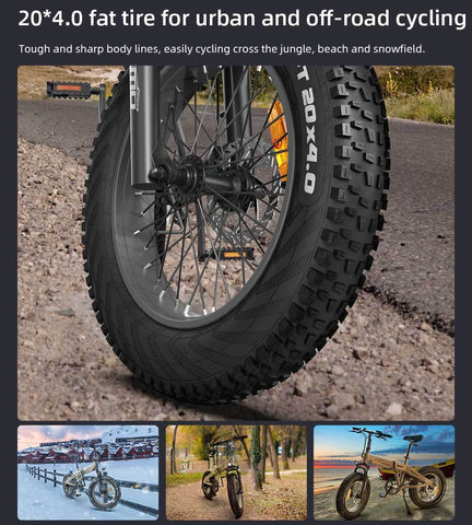 All-Terrain Electric Bicycle ZB20 Max Folding Mountain Bike 250W 48V 10.4Ah 20Inch -OS00935-Veeddydropshipping