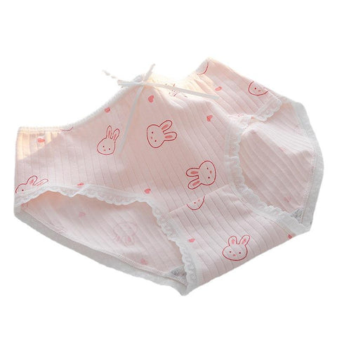 Sexy Underwear For Women Underpants-Veeddydropshipping
