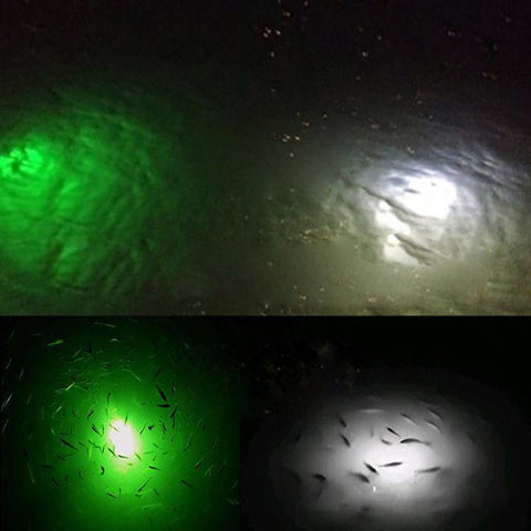 4pcsMini LED Waterproof Fishing Colorful ABS Bait Light LED Deep Drop-TI00966-Veeddydropshipping