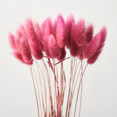 Fluffy Pampas Dried Flowers Bouquet Home Decor-HA00642-Veeddydropshipping