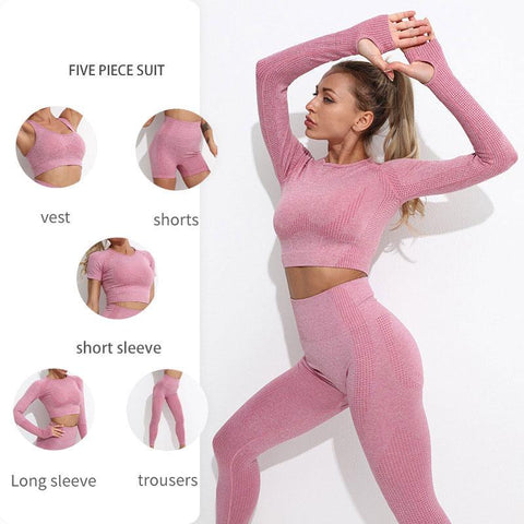 2/3/5PCS Yoga Set Seamless Workout Clothes Fitness Sports Bra Leggings Long -OS00791-Veeddydropshipping