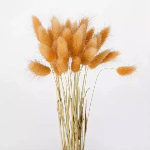 Fluffy Pampas Dried Flowers Bouquet Home Decor-HA00642-Veeddydropshipping