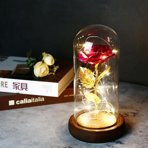 Enchanted Eternal Foil Flower With Fairy-HA00657-Veeddydropshipping