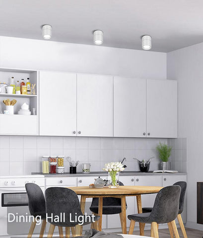 Spot Led Rotatable Ceiling Light Down light-TI00346-Veeddydropshipping