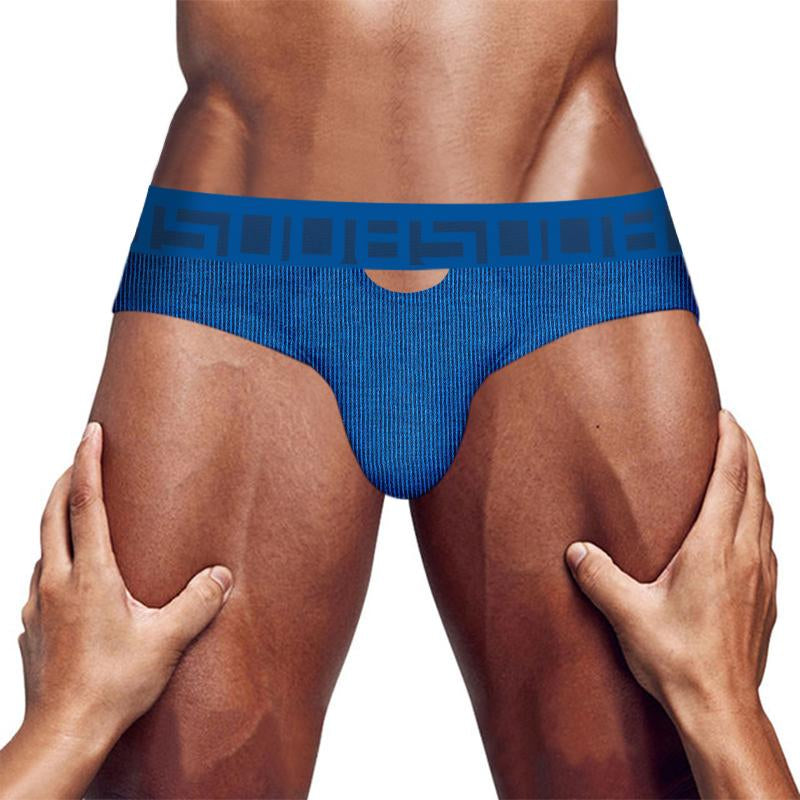 Underpants Gay Sexy Men Underwear Sissy Hollow Mens Panties Cuecas-MF01648-Veeddydropshipping