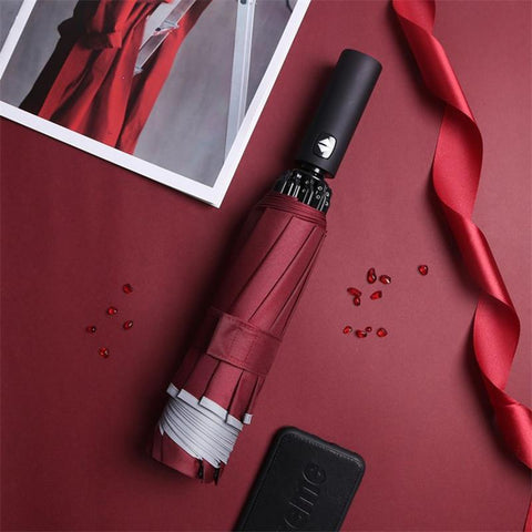 Windproof Double Layer Resistant Umbrella-HA00977-Veeddydropshipping