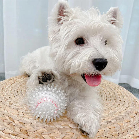 Pet Dog Bite-Resistant Toy Ball-HA01513-Veeddydropshipping
