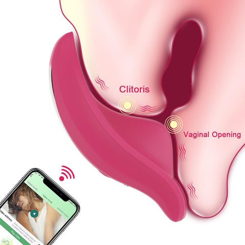 Bluetooth APP Vibrator Female Wireless Remote Control Wearable  Vibrating Egg -BH01285-Veeddydropshipping